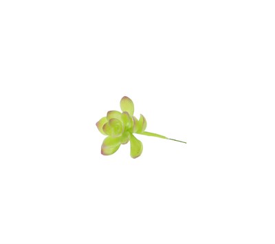 Yapay Çiçek Kaktüs Küçük Yeşil