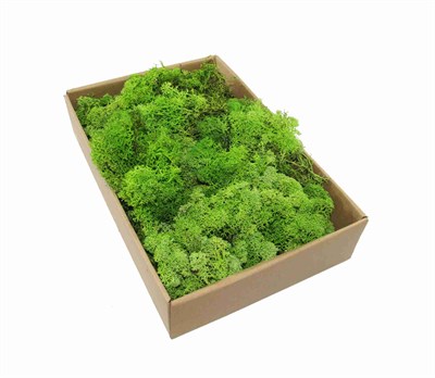 Kutuda Moss 325 gr Açık Yeşil