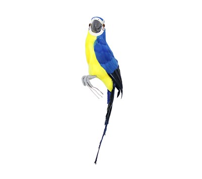 Dekoratif Papağan Büyük Mavi