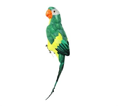 Dekoratif Papağan Büyük Yeşil