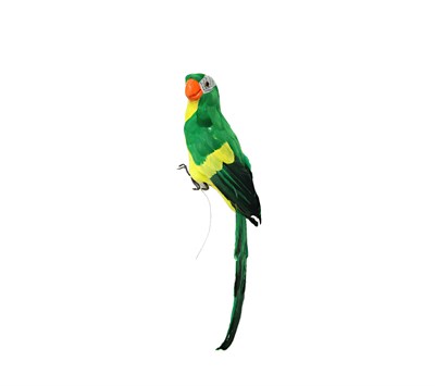Dekoratif Papağan Küçük Yeşil